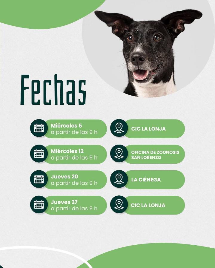 San Lorenzo continúa con las jornadas de castración y vacunación antirrábica