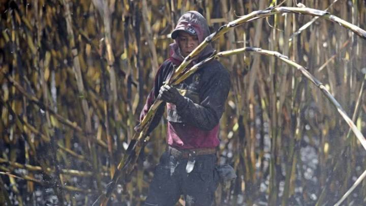Cañeros suman varias horas de protestas frente a la Secretaría de Agricultura
