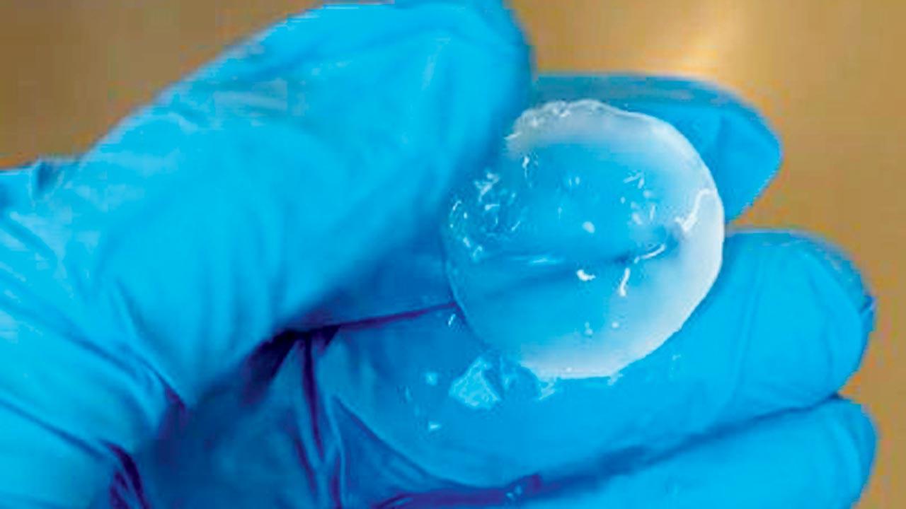 Smart Materials from Bacterial Spores