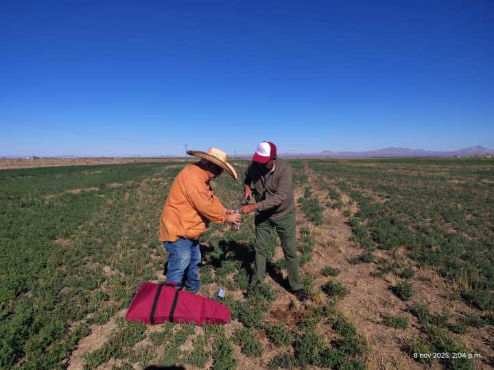 Implementa Desarrollo Rural del Municipio innovador sistema de nutrición agrícola