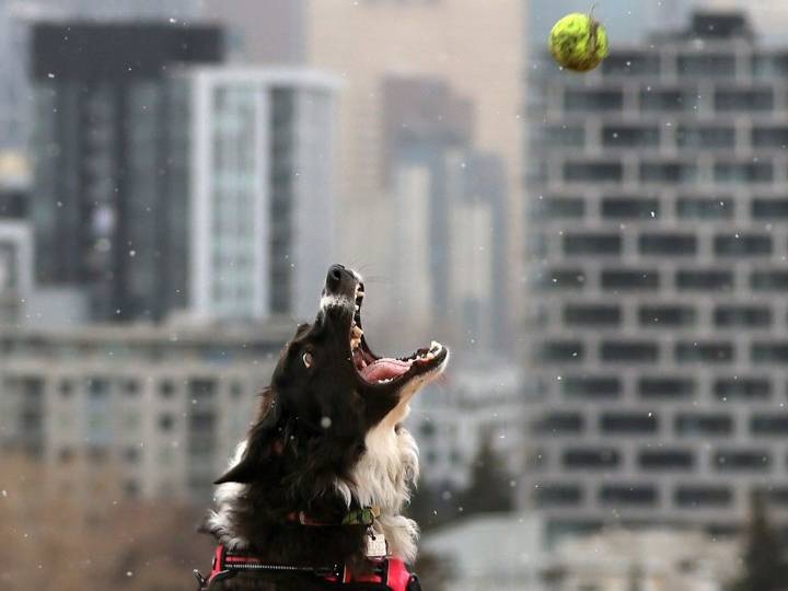Calgary photographers around town for the November 14