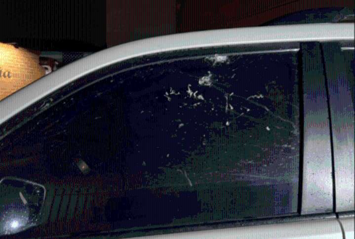 Temístocles Ortega sobrevive a ataque armado: alarma por inseguridad en el suroccidente colombiano