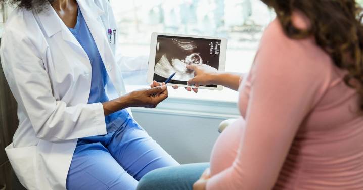 Stacey Hatfield: Australian Health Practitioner Regulation Agency working with government after recent freebirth deaths