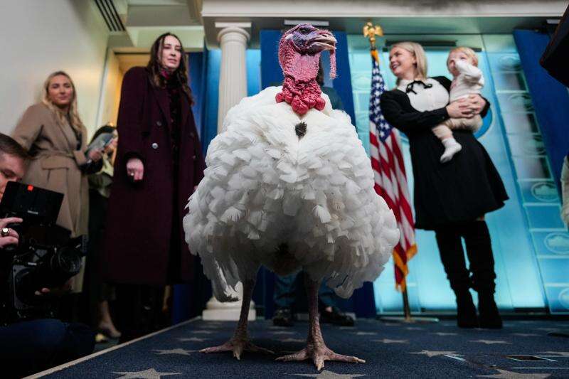 Trump spares turkeys — but not his political opponents