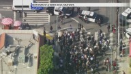 Venice HS students walkout to protest immigration policies