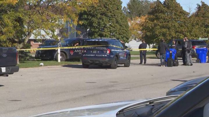 Amherst woman indicted after police shooting during standoff; bodycam footage released