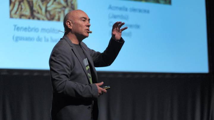 ¿Los gusanos sustituirán a la carne en 2050? El Foro de Turismo de Maspalomas reflexiona sobre el futuro de la cocina