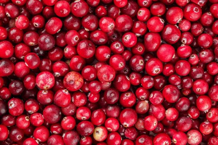 How to safely preserve your cranberries throughout the year
