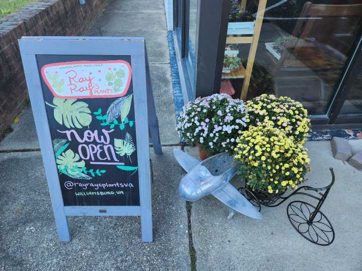 Ray Ray’s Plants: Making Spaces Into Homes with Houseplants