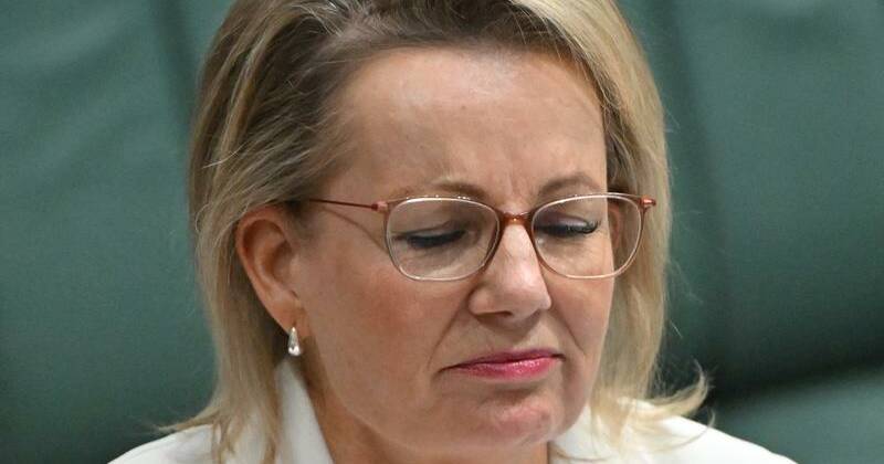 Libs making 'same mistakes' after dumping net zero