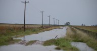 Inundaciones en Buenos Aires: la medida de alivio a los campos de un grupo de municipios, ¿a quiénes alcanza?