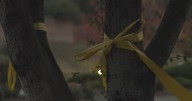 The meaning behind the yellow ribbons on trees in Granite Bay