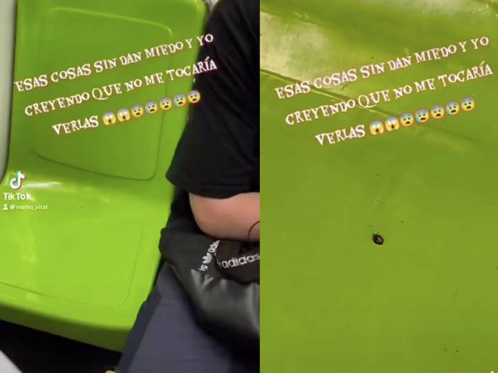 VIDEO: Exhiben chinche en asiento de vagón del Metro CDMX