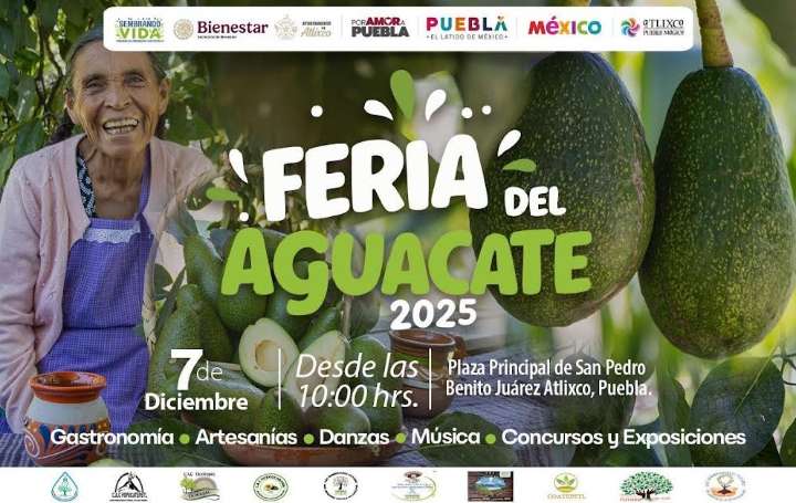 Ariadna Ayala lanza la Feria del Aguacate 2025 para apoyar al campo