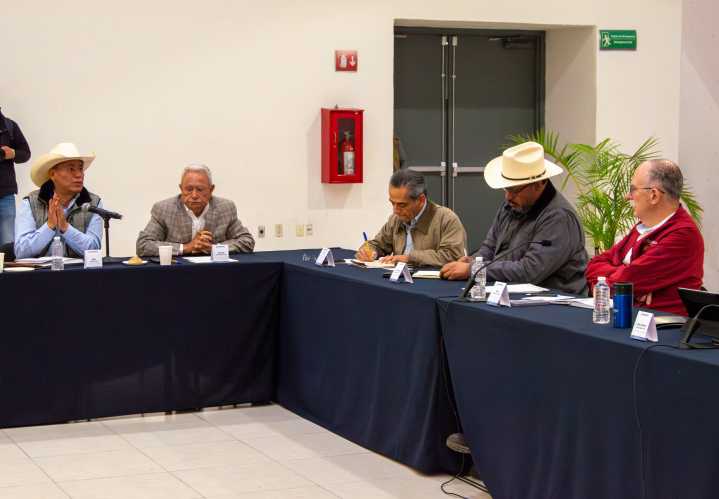 SADER cierra acuerdos directos con productores de trigo panificable de 6 estados entre ellos Tamaulipas