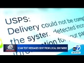 Millions of scam texts being generated in LA, security expert says