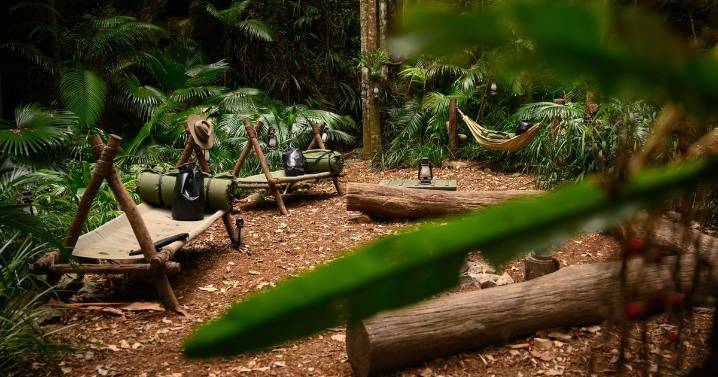 I'm A Celebrity campmates evacuated 'immediately' and filming halted