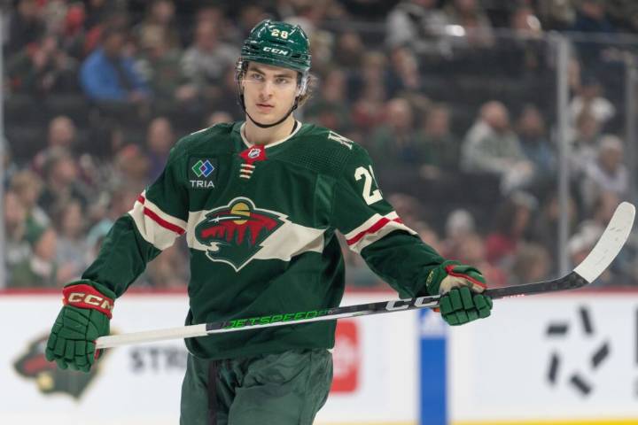 Wild Recall Liam Ohgren And Tyler Pitlick, Assign David Spacek To AHL