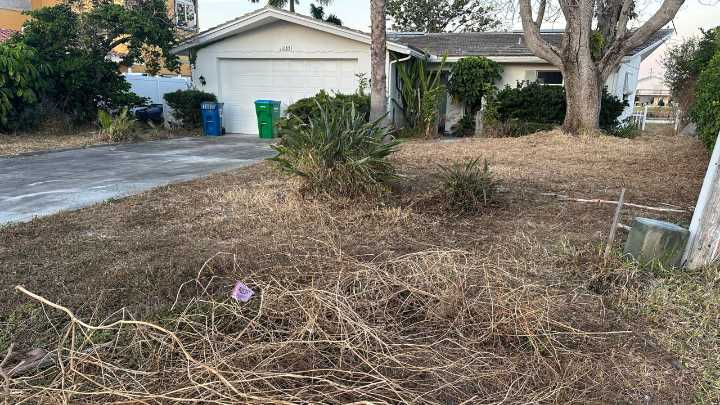 Treasure Island discusses how to tackle overgrown lawns