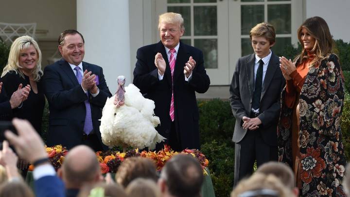A tradition for turkeys: Another presidential pardon : NPR