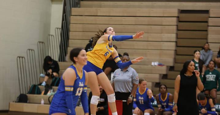 Class 4A Volleyball Roundup: Local teams march on in playoffs