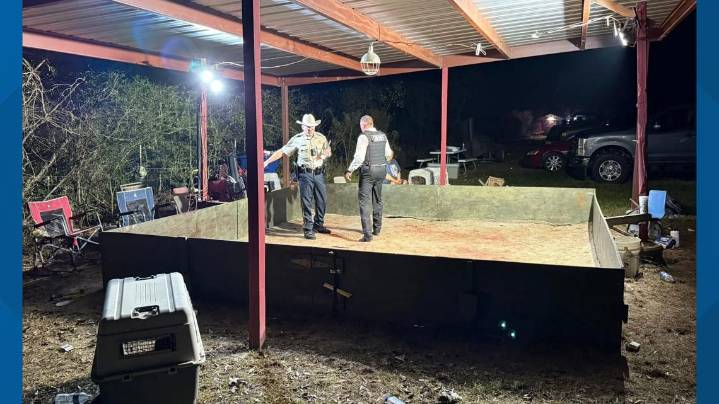 Dogs vanish from property amid Newton County's 'Operation Pitbull' investigation