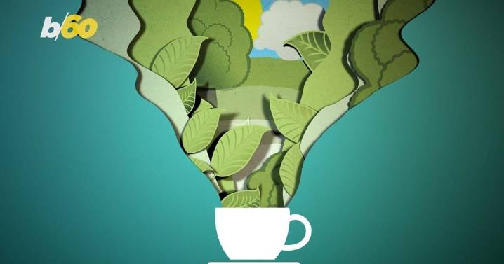 From cough to concern - Navigating flu and RSV seasons