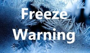 Freeze Warning Issued