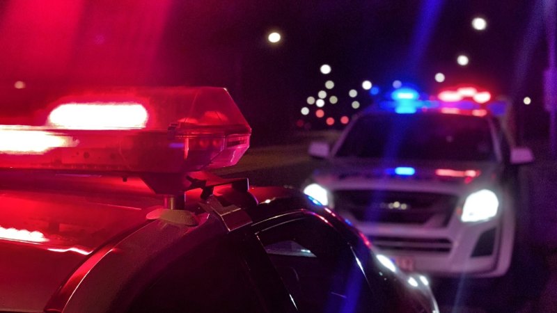 Teenage girl dies in hit-and-run, police hunt for ute