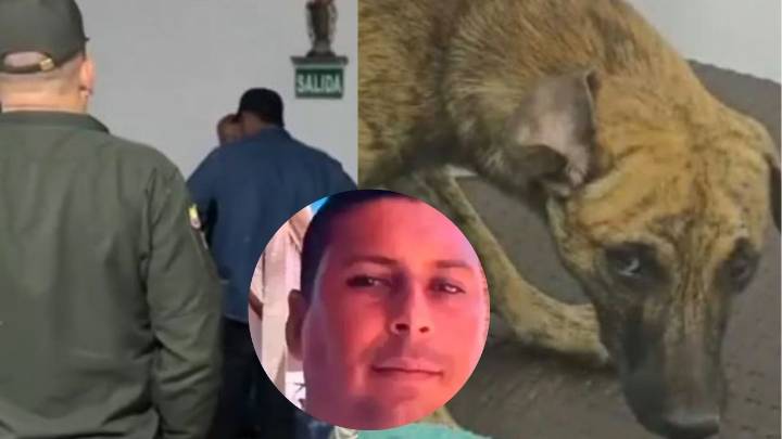Llegó con un perro: Se entregó el hombre que golpeó brutalmente a canino en Antioquia