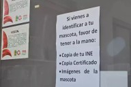 Elabora catálogo con más de 700 fotos para agilizar denuncias de los más de las más de 600 personas afectadas por el fraude del crematorio de animales Xibalbá