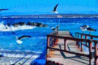 Cómo llegar a Punta de Choros: guía para visitar uno de los lugares turísticos en Chile más destacados del norte chico