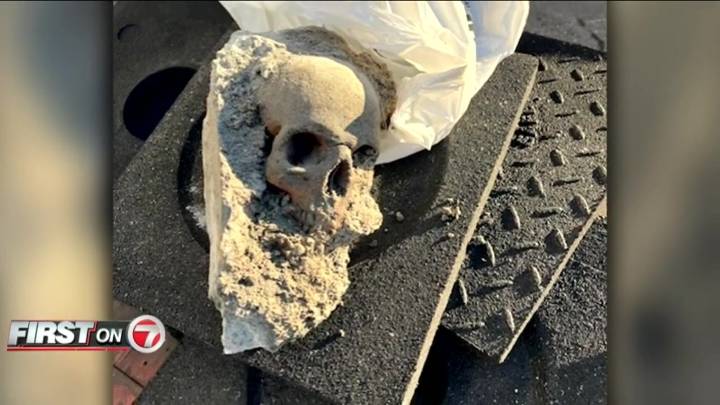 Skull found in Boston’s Seaport not human