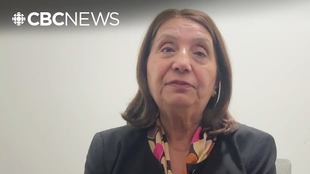 Former MLA calls for co-ordinated government response after Surrey café hit with bullets a 3rd time