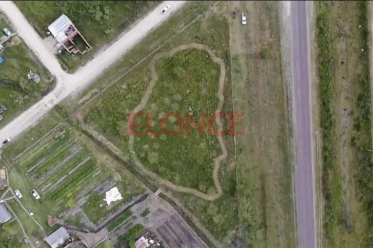 En María Grande realizan un "arboretum de especies nativas": tiene la forma de la provincia de Entre Ríos