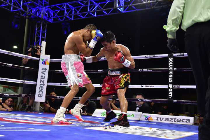 Se queda “Cejitas” Valladares con Título Latino mini mosca del CMB