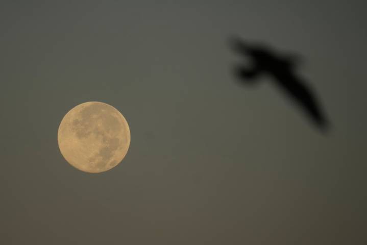 Don’t miss the most impressive Supermoon of 2025