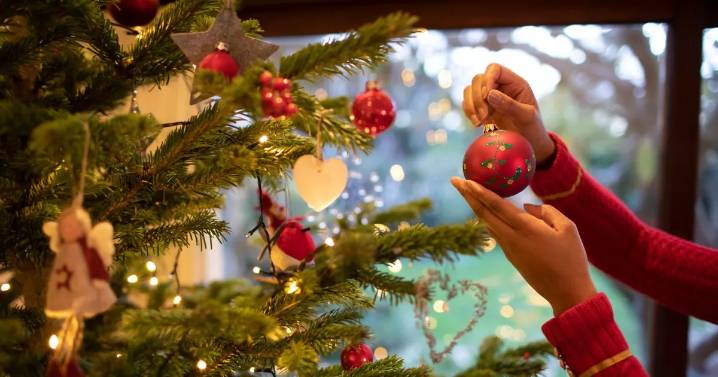 Shoppers face Christmas tree shortage this year