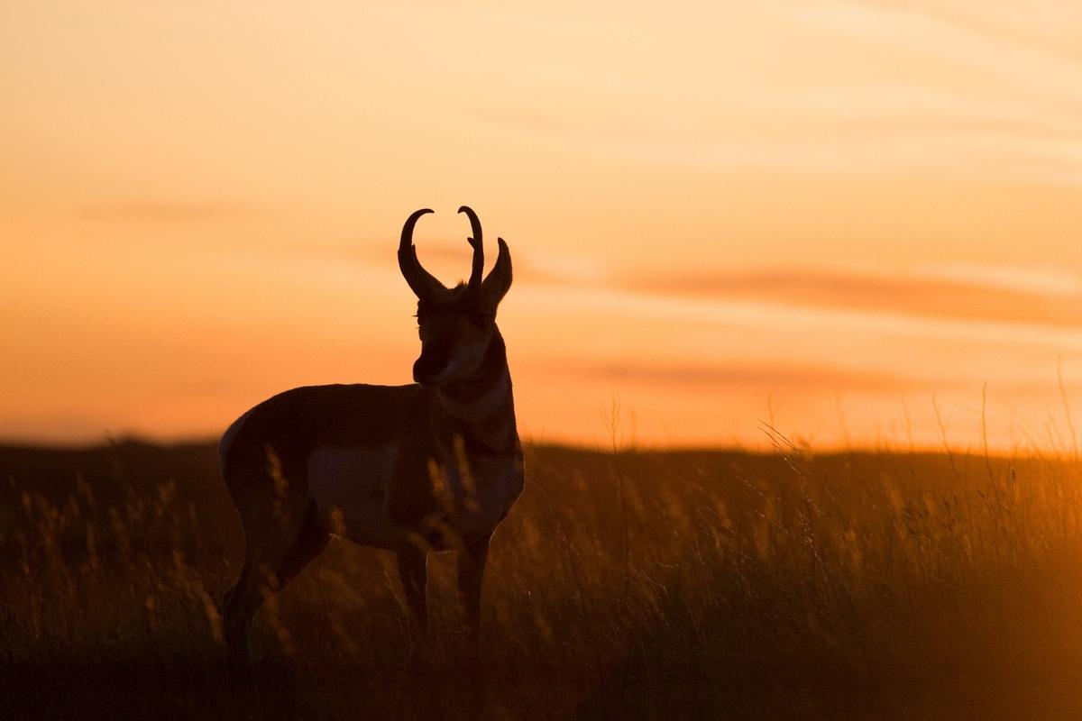 Wyoming’s Economy Takes A Hit With A Surprising Tax Revenue Drop