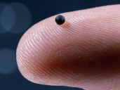 Suiza crea un micro-robot que navega por la sangre para tratar los ictus