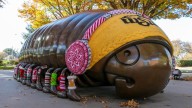 Wichita State's Millie the Millipede dressed warmly for winter