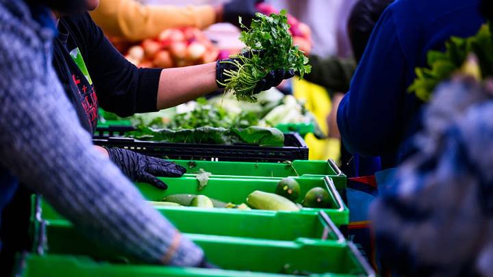 Partial SNAP benefits being paid to Illinois recipients for November, officials say