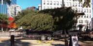 WATCH: SC state Christmas tree arrives in Columbia