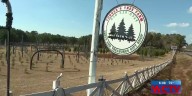 Havana Christmas tree farm expecting healthy trees despite drought conditions