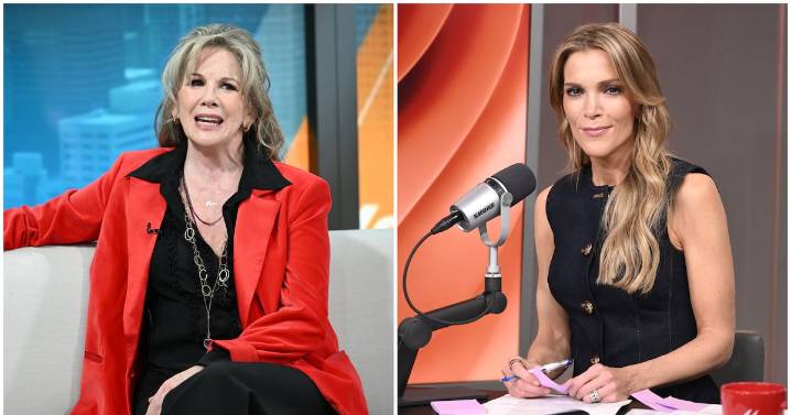 ‘Little House on the Prairie’ Star Melissa Gilbert Slams Megyn Kelly’s Epstein Defending