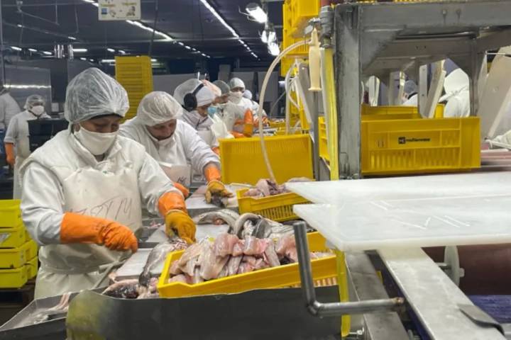 El affaire del langostino. Acuerdo millonario tras acusaciones de corrupción y una demanda en EE.UU.