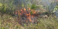 Burn bans in place for Alachua and Gilchrist counties