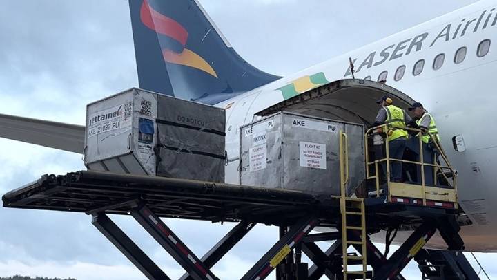 Llegan al país 850 mil dosis de la vacuna contra la poliomielitis