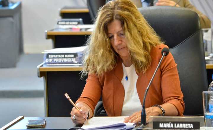 El vernismo ahora apunta contra Marín en Diputados