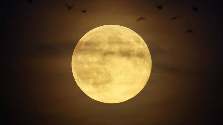 Did the Moon really come close to Earth last night? Yes and no